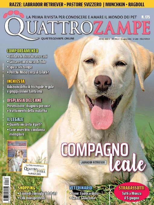 Cover image for Quattrozampe